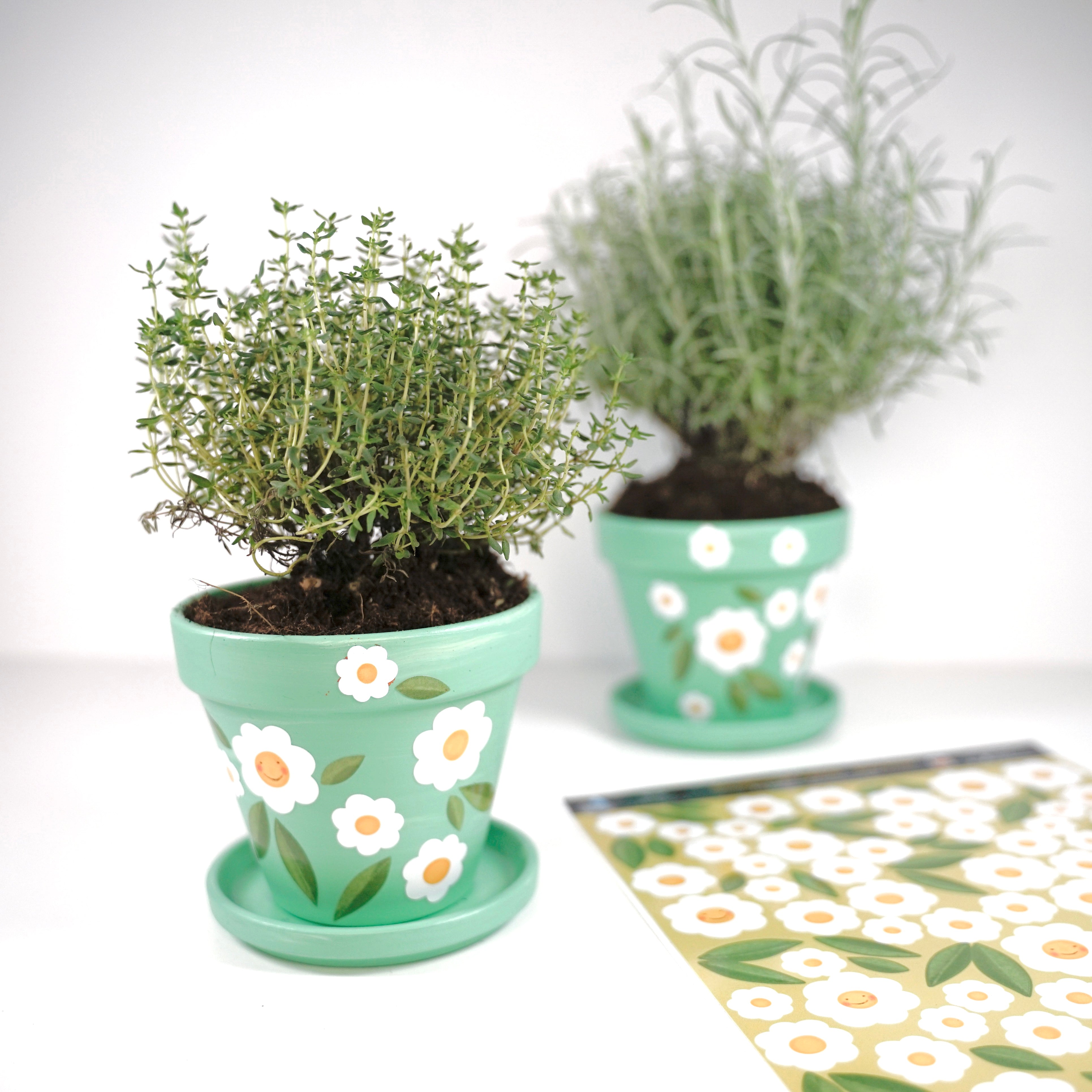 Fahrradsticker Gänseblumen - Margeriten