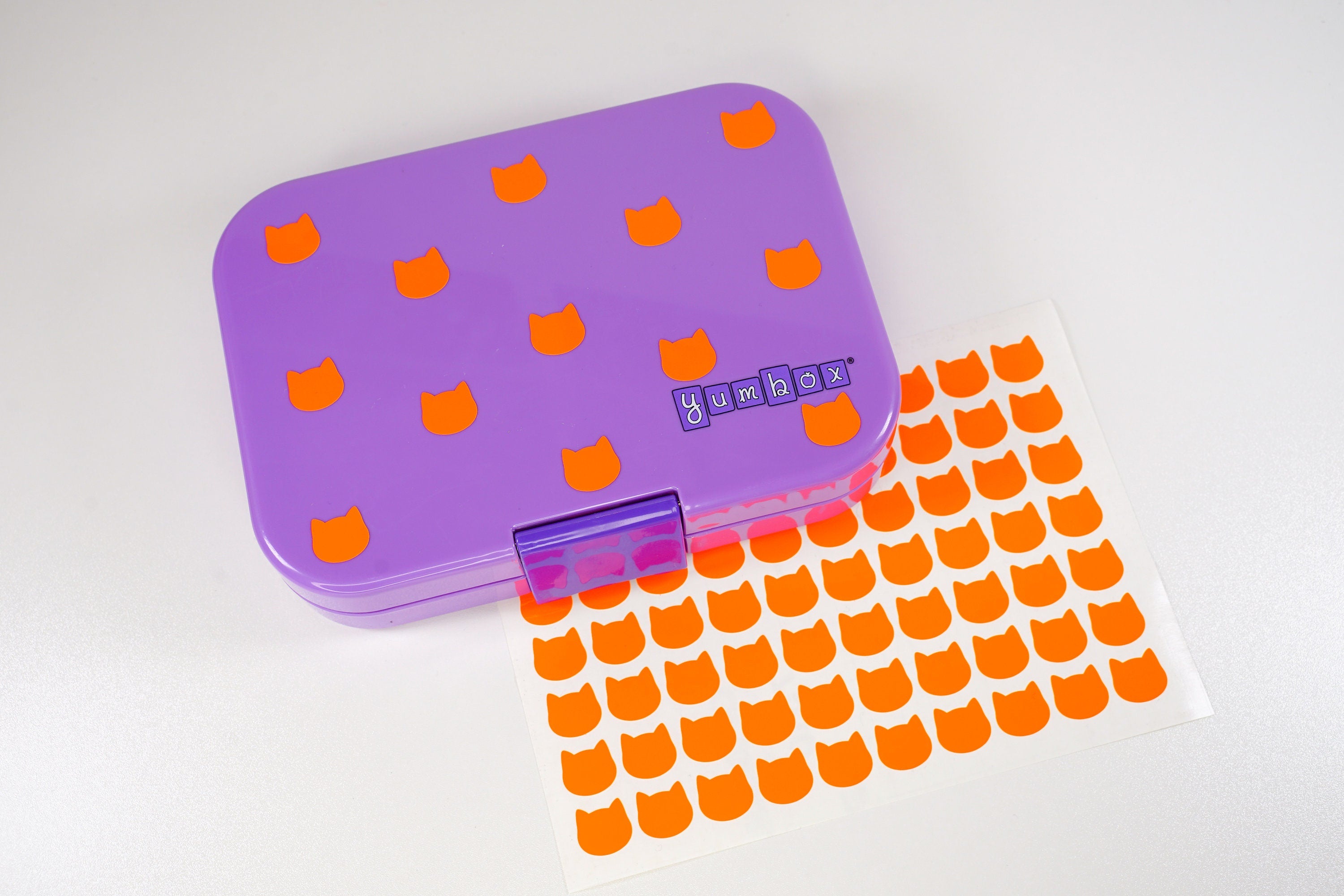 NEON Sticker Katzen waterproof