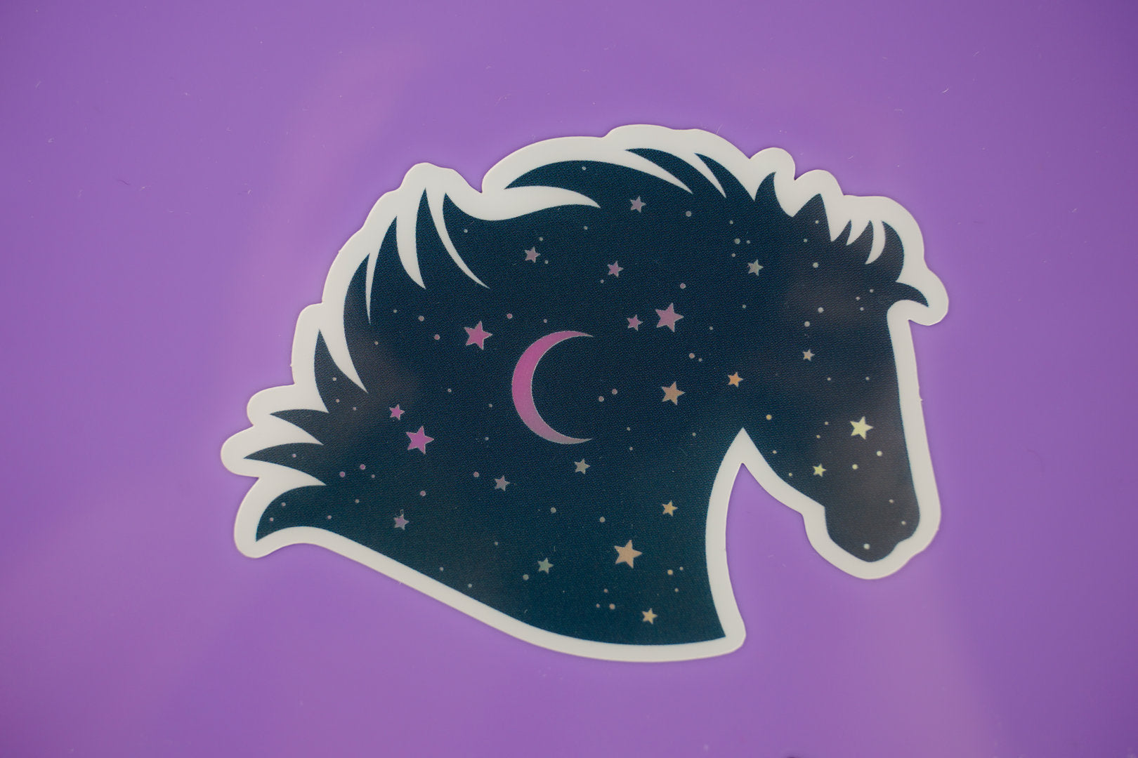 Holographic Pferd Sticker wasserfest