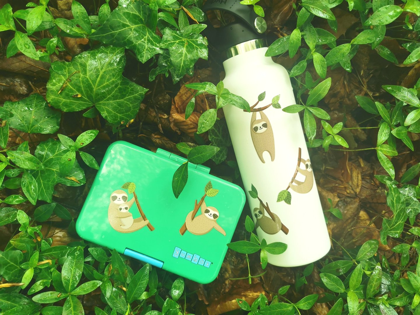 Faultier Sticker wasserfest A5